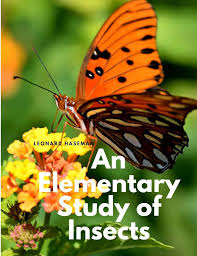 An Elementary Study of Insects